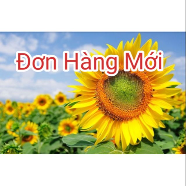 Combo sản phẩm