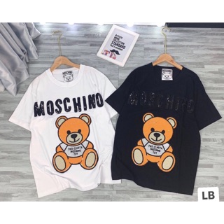 Combo áo phông gấu kim sa