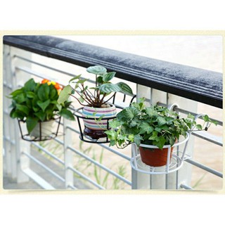 giỏ treo chậu hoa cây cảnh bang công..