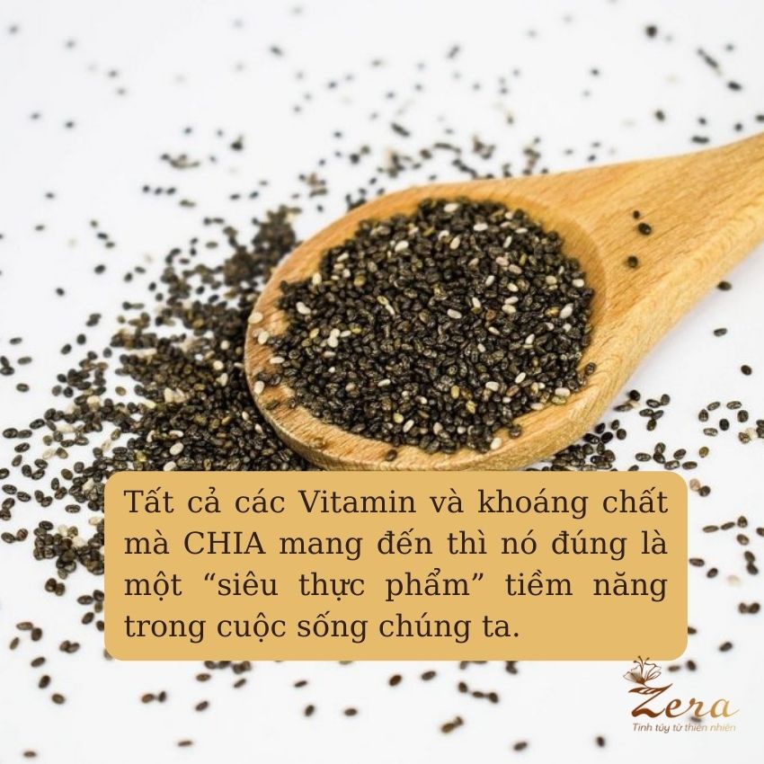 Hạt chia Úc Absolute Organic mới nhất Zera Tốt Cho Sức Khỏe
