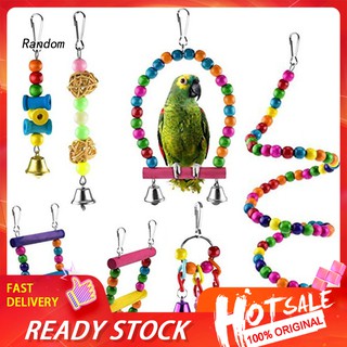 Bộ 6 đồ chơi gặm kiểu dáng khác nhau dành cho chim vẹt