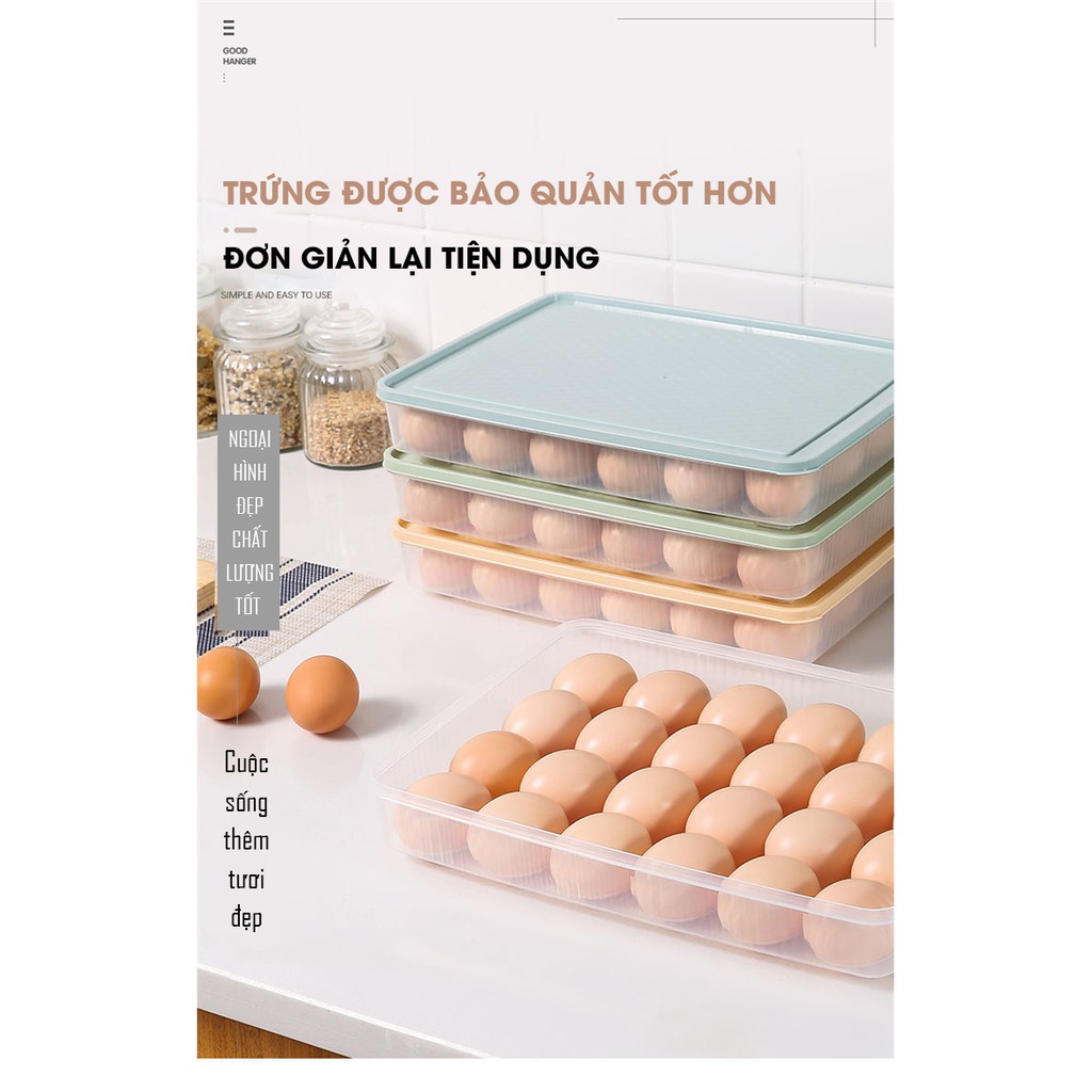 hộp đựng trứng 24 quả