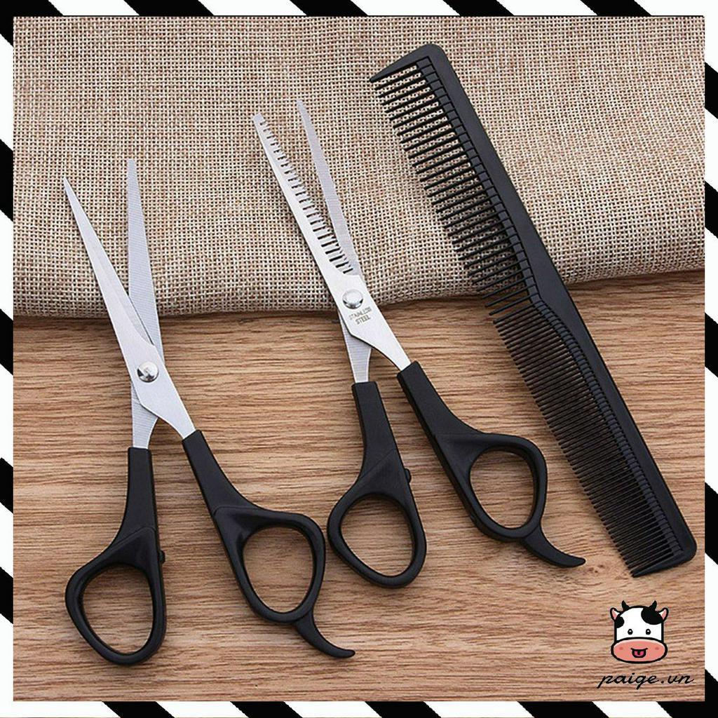 Set Kéo Cắt Tỉa Lông Chó Mèo Kèm Lược Chải Cho Salon Tại Nhà 3 Món