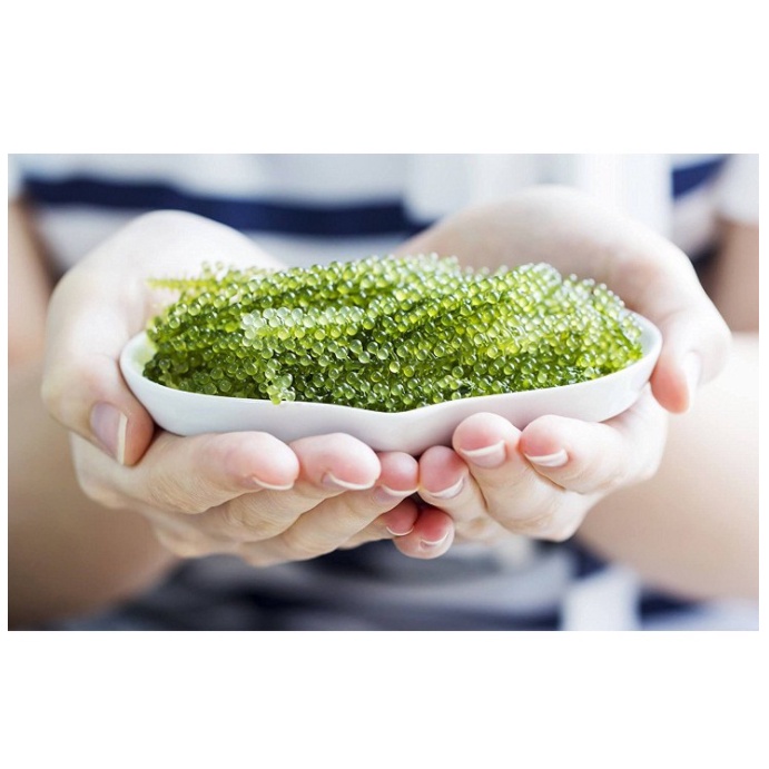 Gói rong nho tách nước HOGI , Rong nho tách nước tặng kèm nước sốt mè rang | BigBuy360 - bigbuy360.vn