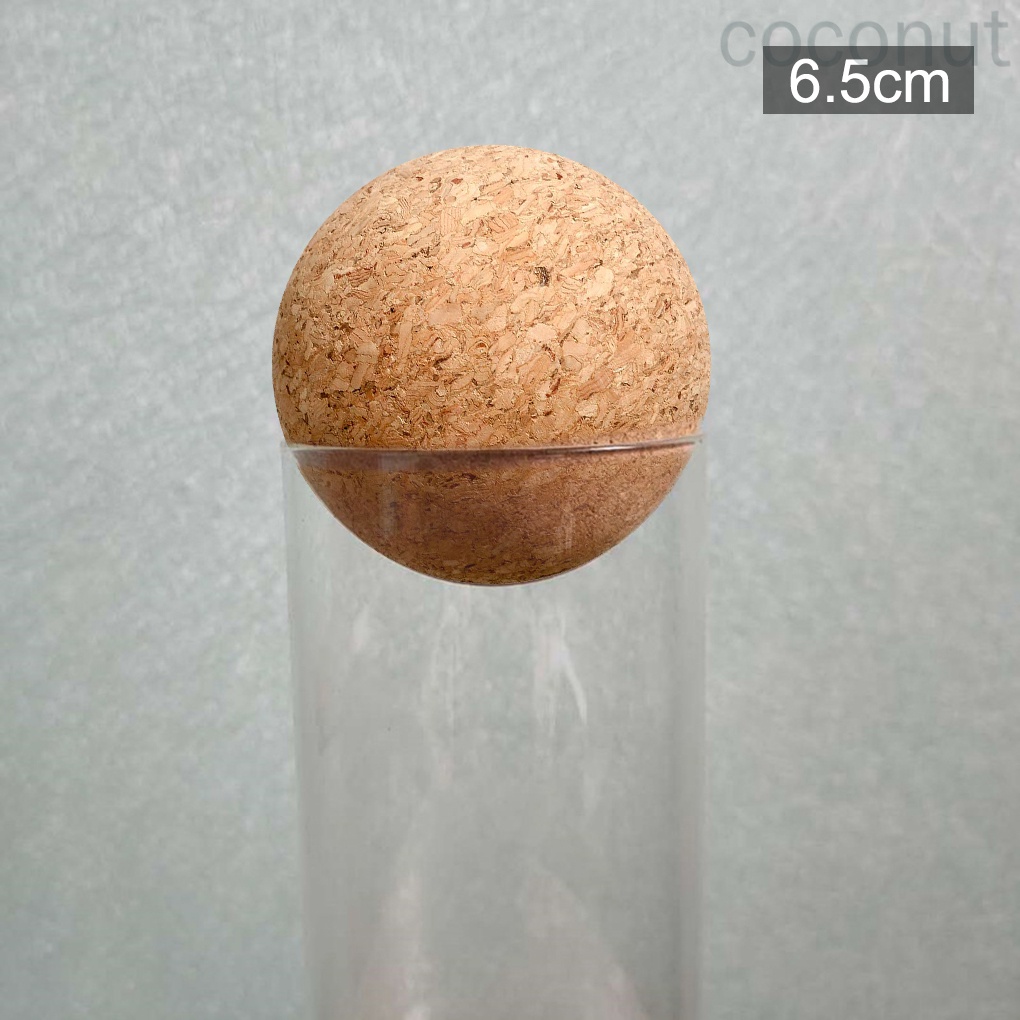 Set 2 nút bần chặn chai rượu hình tròn bằng gỗ 6.5cm