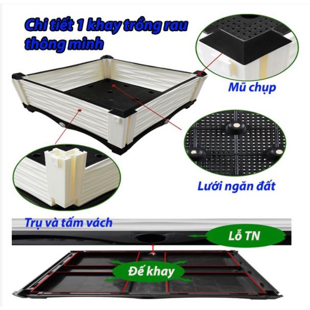 Chậu ghép thông minh Quang Anh màu trắng, chậu ghép trồng rau bằng nhựa chắc chắn