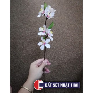 ĐẤT SÉT NHẬT LÀM HOA ĐẤT SÉT BẤT TỬ PRO