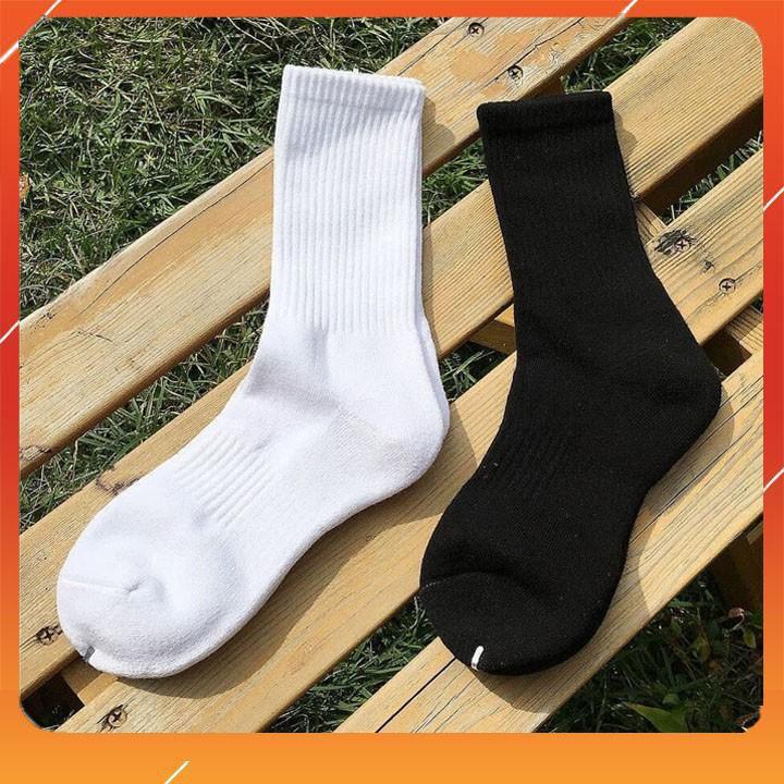 Tất Ngắn Trơn Cotton Co Giãn Mịn Mà Hút Mồ Hôi SGES Unisex