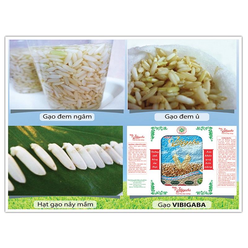 Combo Gạo Mầm Vibigaba 1Kg x 5 hộp. Gạo vì sức khỏe.