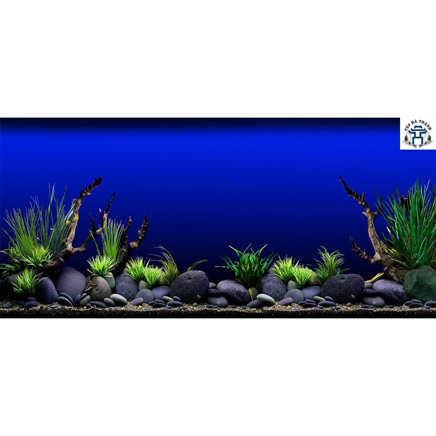 Tranh Decal 3D Dán Bể Cá Cảnh, Bể Thủy Sinh Mẫu 5