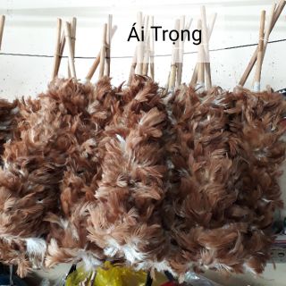 Chổi Lông Gà Giá Rẻ