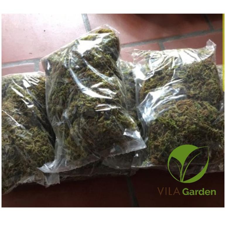 Rêu Rừng Trồng Lan gói 100g