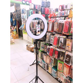 Đèn Live Stream - Hỗ Trợ Trang Điểm - Size 36cm - Giá Cam Kết Rẻ Nhất