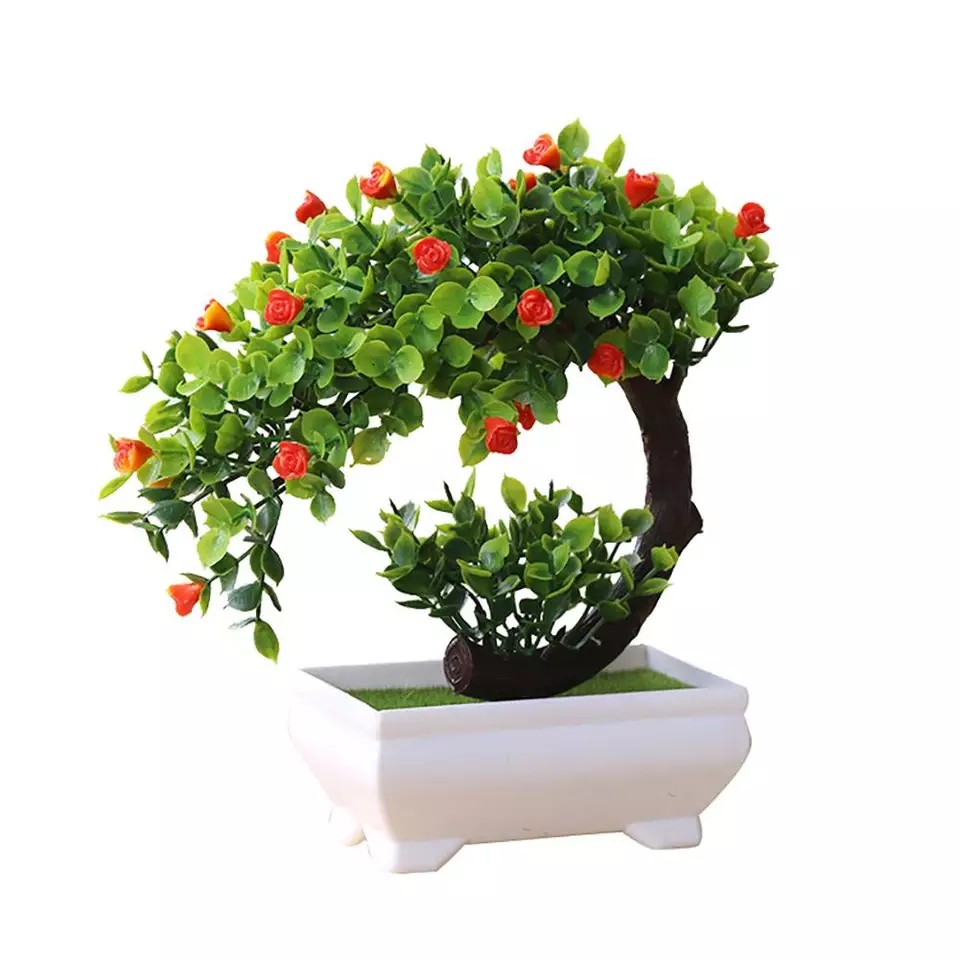 Chậu cây bonsai phú quý tài lộc trang trí nhà cửa kích thước 20cmx19cm