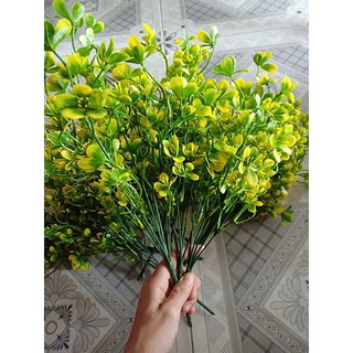 CÀNH ĐIỂM CỎ 4 LÁ VÀNG XANH