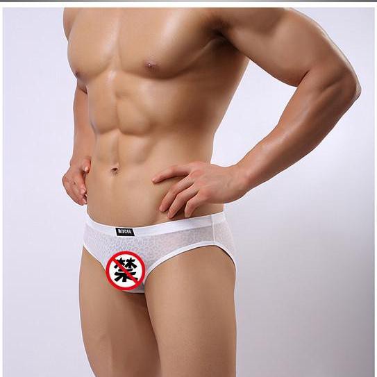 Quần lót nam tam giác cao cấp chất liệu thun cotton, Quần sịp nam tam giác thun phối lưới co dãn 4 chiều - 352
