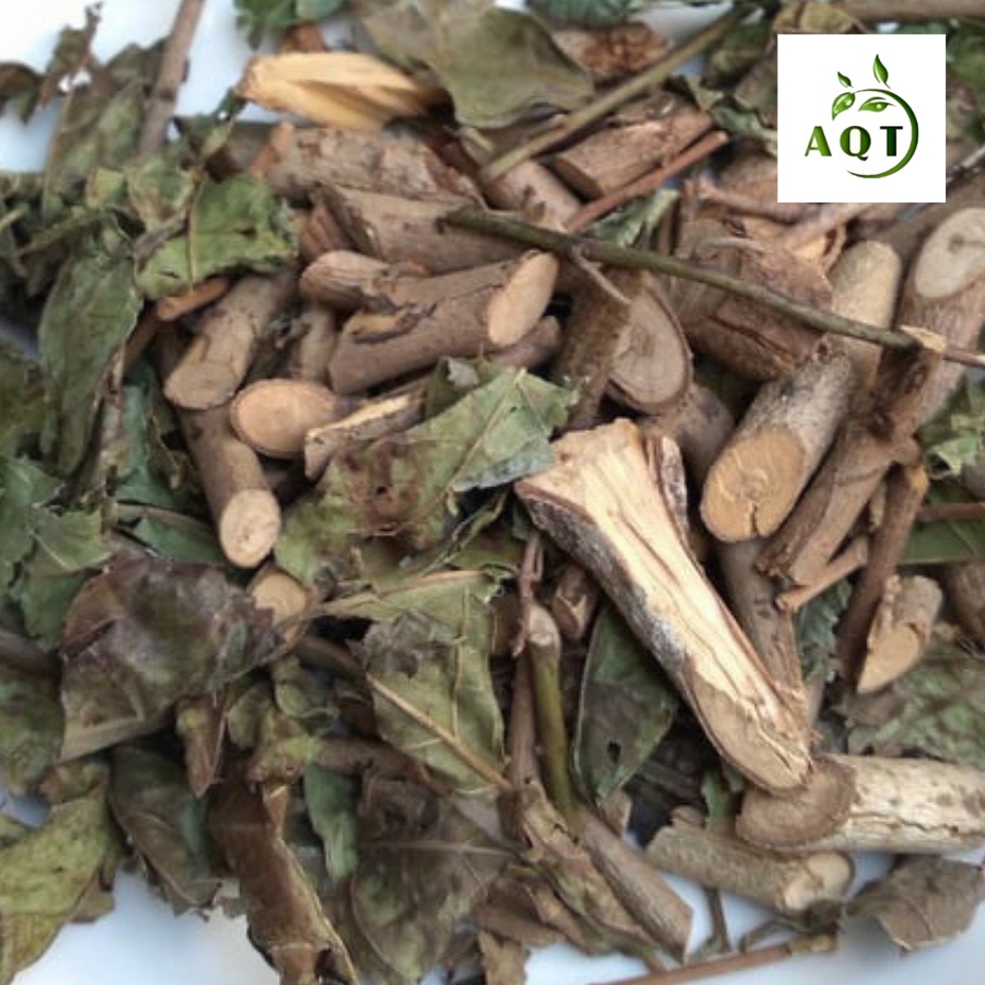 Cây Xạ Đen Hòa Bình 1kg Ngừa Bệnh Gan, Thân, Lá Xạ Đen Hòa Bình Hỗ Trợ Người Ung Thư Gan