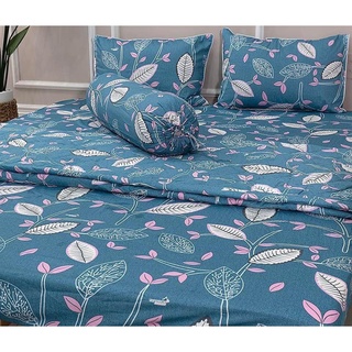 Chăn mền cotton Thắng lợi chính hãng mềm mát không xù lông