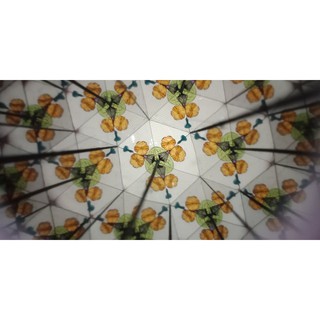 Kính vạn hoa
