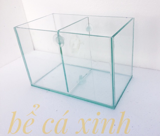 Bể cá mini ngăn đôi 25x14x16cm( vách ngăn có thể tháo lắp)