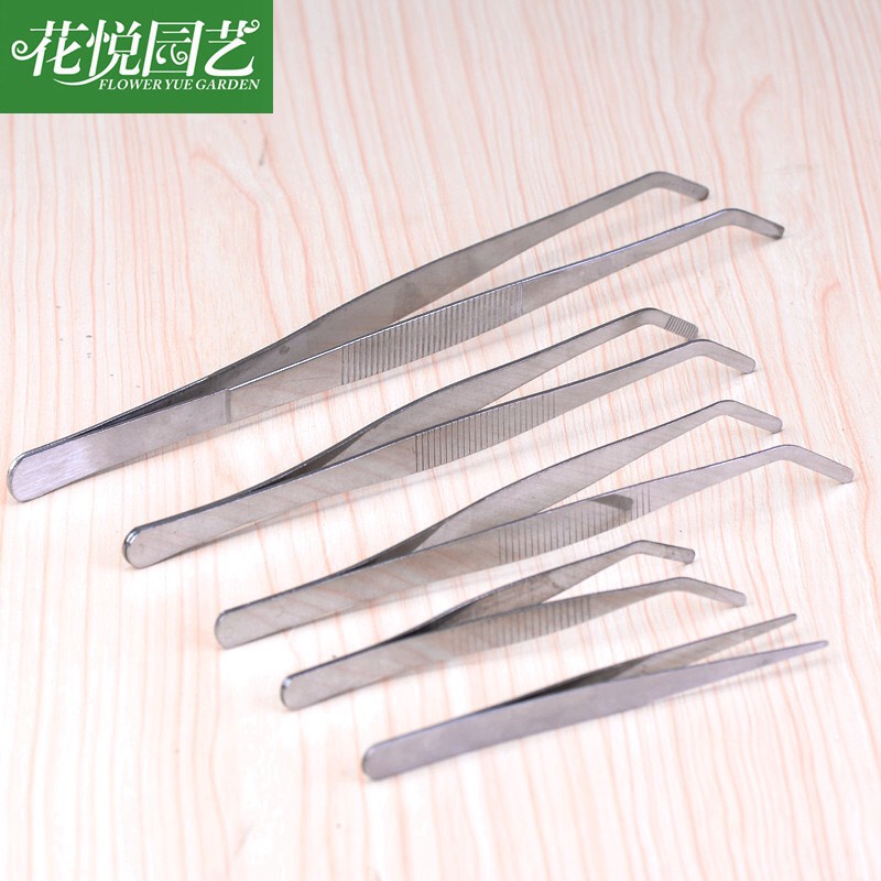 Nhíp Gắp Cây Nhỏ, Nhíp Trồng Cây, Tiểu Cảnh Sân Vườn