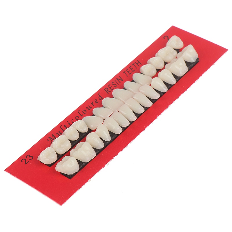 Bộ 28 Răng Nhựa Acrylic 23 Chuyên Dụng Chất Lượng# Nha Khoa A2