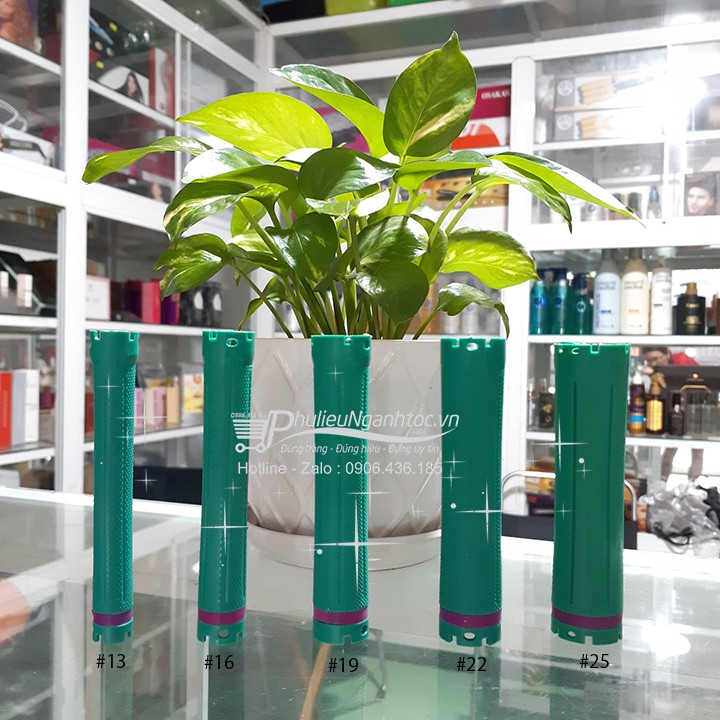 Cây xương uốn nóng