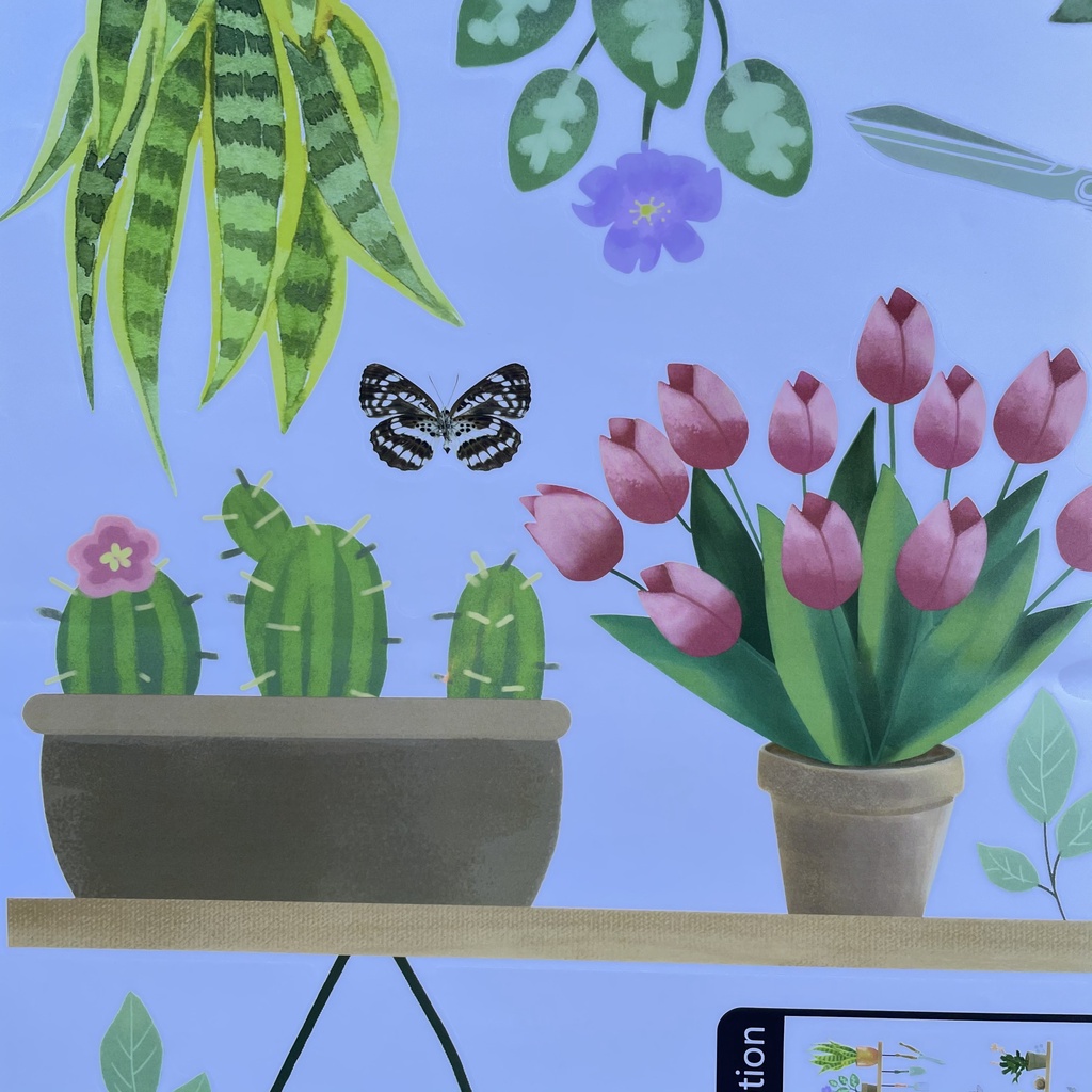 Decal dán tường hàn quốc trang trí phòng ngủ TUNG DECOR XL7249 Kệ Cây Mũ Nhỏ