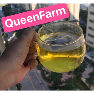 10 TÚI TRÀ CỎ NGỌT TÚI LỌC CHUẨN KETO