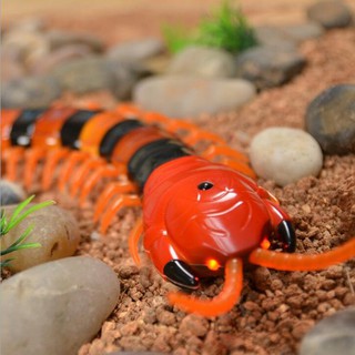 Đồ chơi hình con rết có remote điều khiển