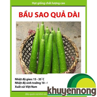Gói 10 hạt giống bầu sao quả dài