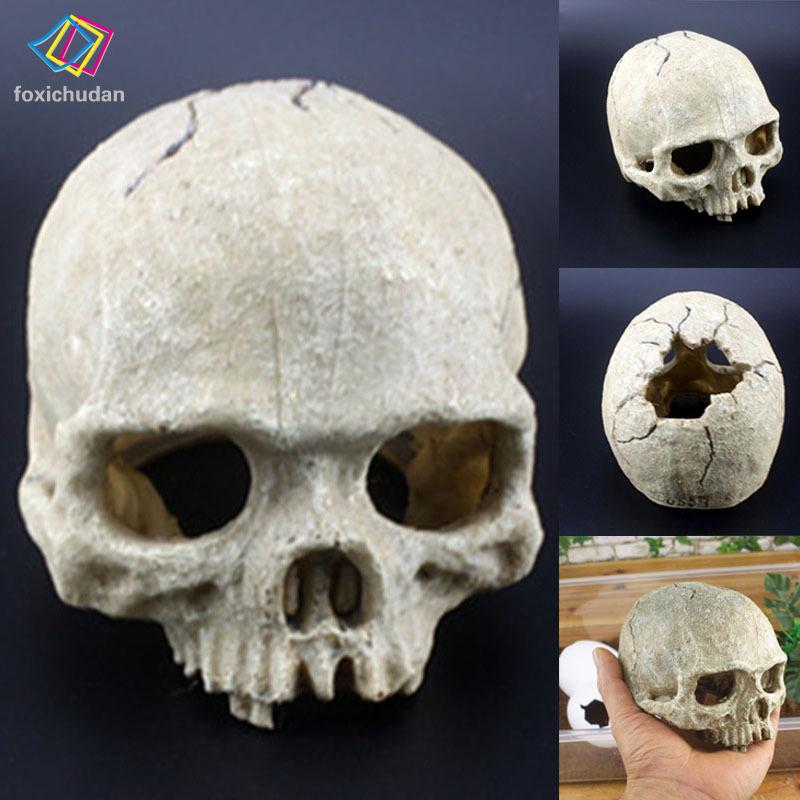 Mô Hình Sọ Người Bằng Nhựa Trang Trí Bể Cá