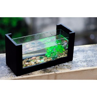 Bể Cá Mini Để Bàn