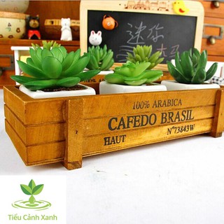 Chậu gỗ phong cách cổ điển - chậu trồng cây lạ