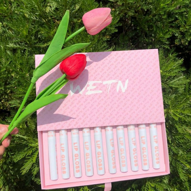 RẺ NHẤT SHOPEE — Set Son Kem Nhung Lì 10 Cây WETN LIP GLOSS Siêu Hot - Bộ Son Kem Lì 10 Cây WETN Hồng