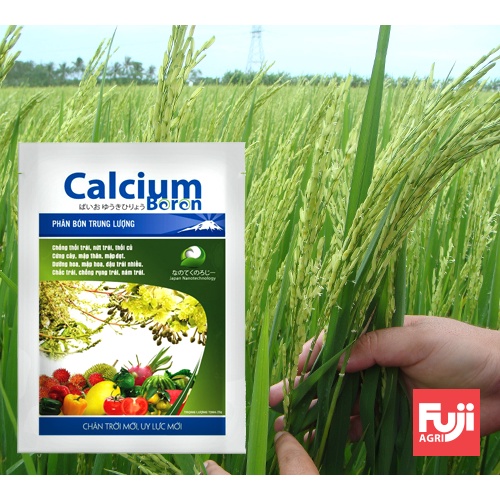 Phân bón hữu cơ Canxi Bo Fuji  25g