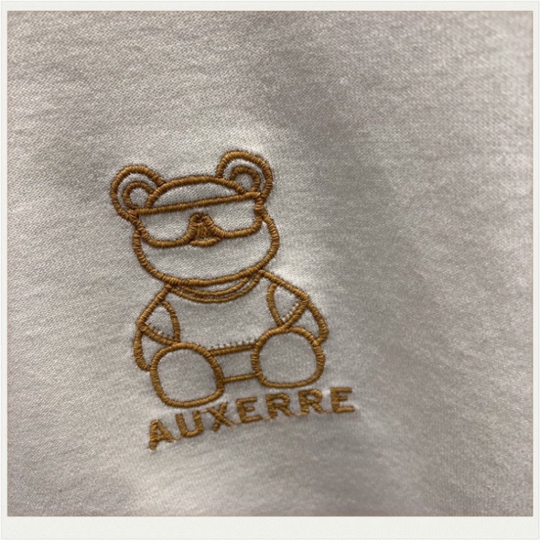 Áo nỉ nam gấu thêu 2 mặt chất nỉ thể thao phù hợp mặc thu đông  [Giá Sốc] | BigBuy360 - bigbuy360.vn