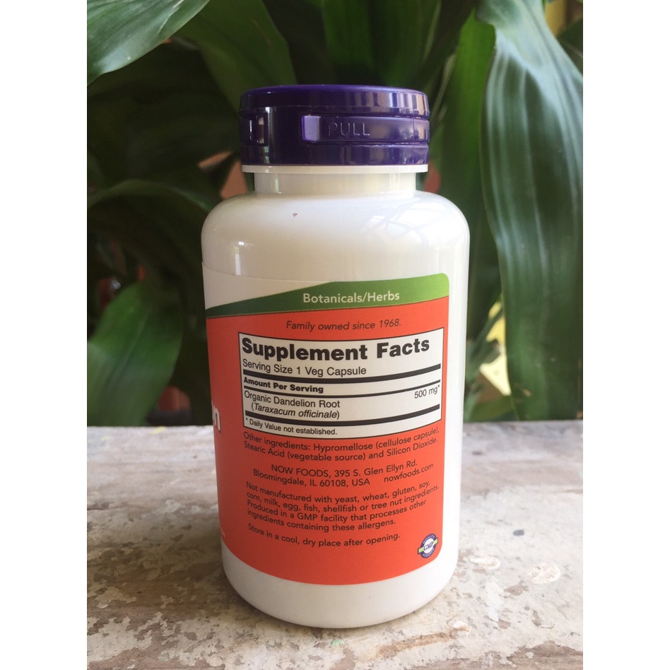 Viên uống rễ bồ công anh Now Dandelion Root 500 mg chống oxi hóa mạnh của Mỹ
