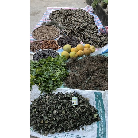Tinh Chất Thảo Mộc Mọc Tóc Quê Nhà