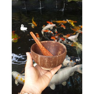 Combo 6 chén gáo dừa + 6 muỗng gỗ dừa