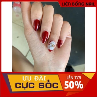 Hoa thanh lý ( nhiều mẫu )