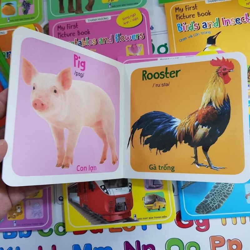 Sách - My First Picture Book - Bộ 10 Cuốn Thư Viện Hình Ảnh Đầu Tiên Cho Bé