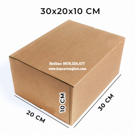 10 hộp carton 30x20x10 cm