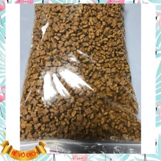 Thức ăn cho mèo royal canin kitten