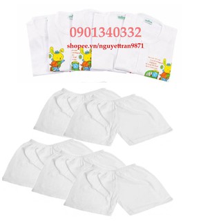 Combo 5 áo tay ngắn + 5 quần ngắn cotton bé Bosinis