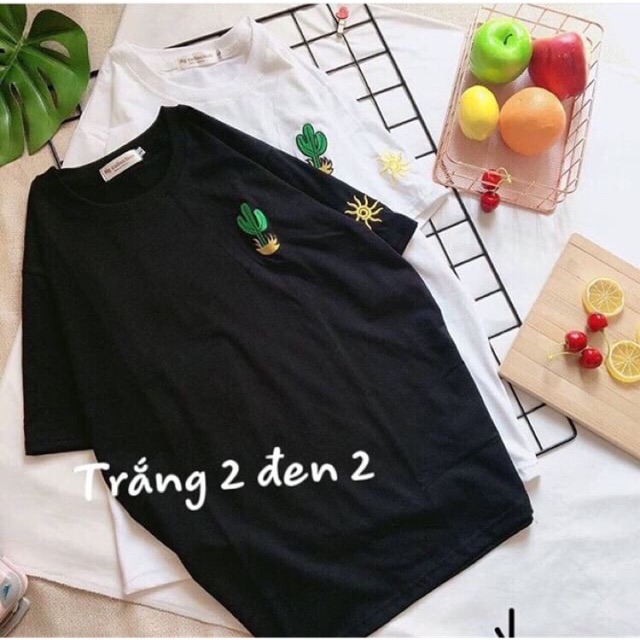 Combo nhiều áo thun