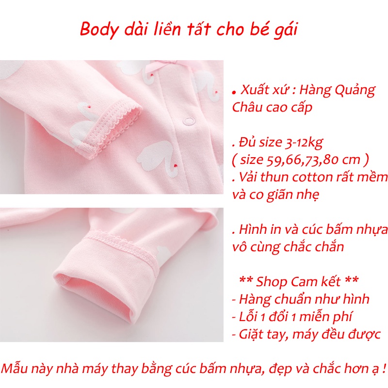 Bodysuit cho bé gái , bộ body dài tay sơ sinh liền tất họa tiết đáng yêu - ảnh sản phẩm 2