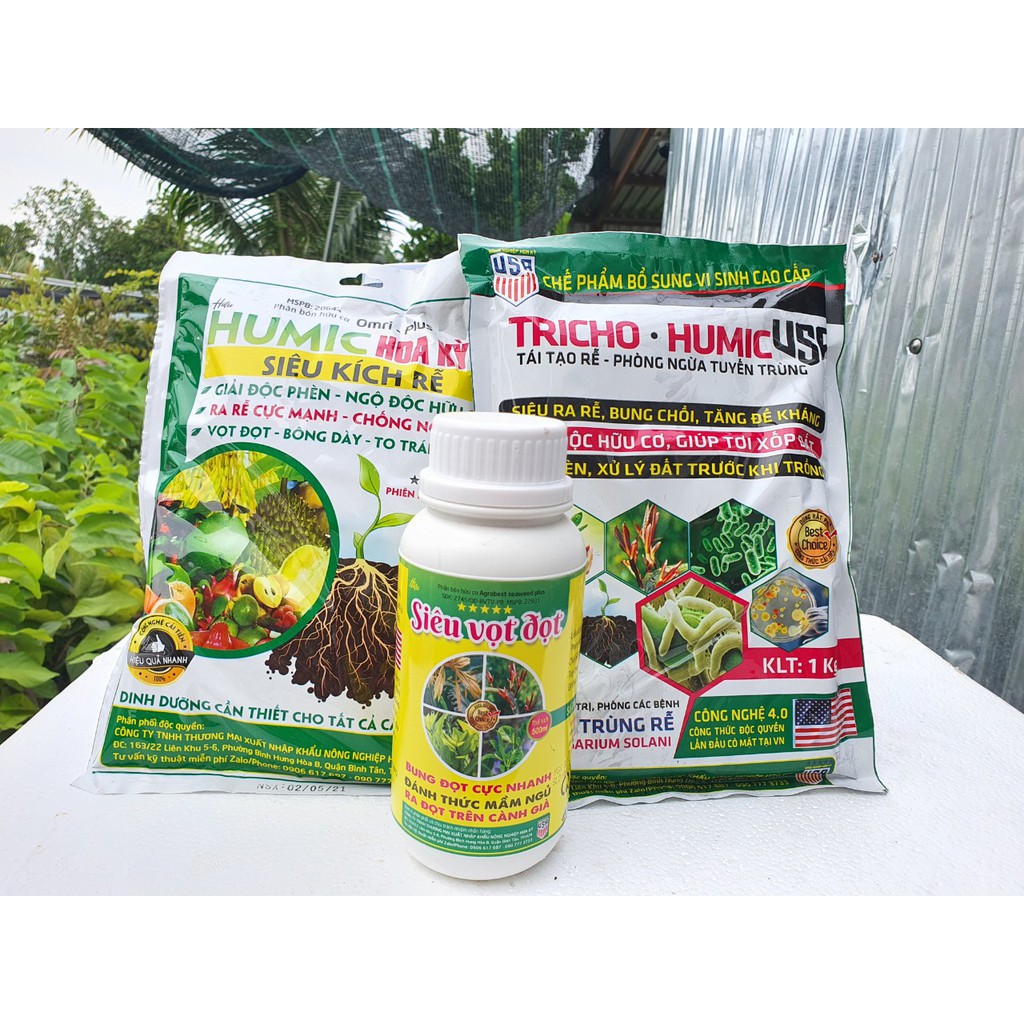 Combo NUÔI CÂY CON Giúp Rễ Khỏe, Giàu Lông Hút, Đất Phì Nhiêu, Cây Phát Nhanh, Sung