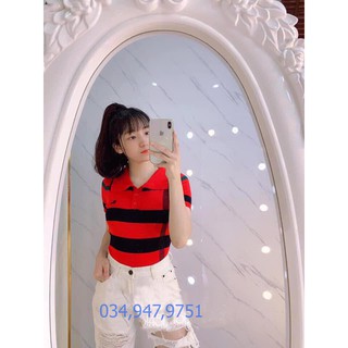 áo cộc tay len mongtoghi