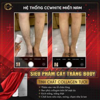 Cấy trắng body CCWHITE